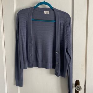 Aritzia Cardigan